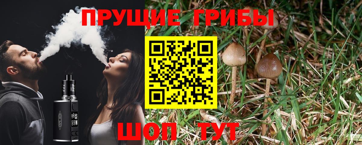 Псилоцибиновые грибы прущие грибы Саратов