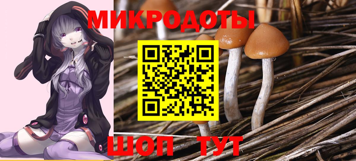 Галлюциногенные грибы MAGIC MUSHROOMS  Вход с VPN  купить закладку  Саратов 
